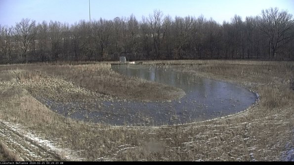 Cell 4_24-02-25_09-29-23-92