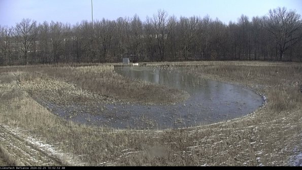 Cell 4_24-02-25_10-02-52-90