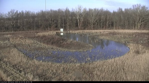 Cell 4_24-02-25_16-44-45-91