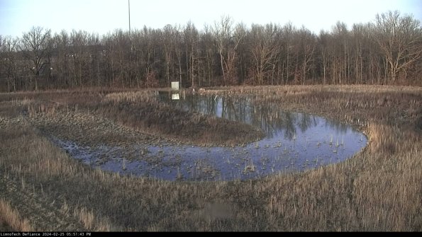 Cell 4_24-02-25_17-51-43-95