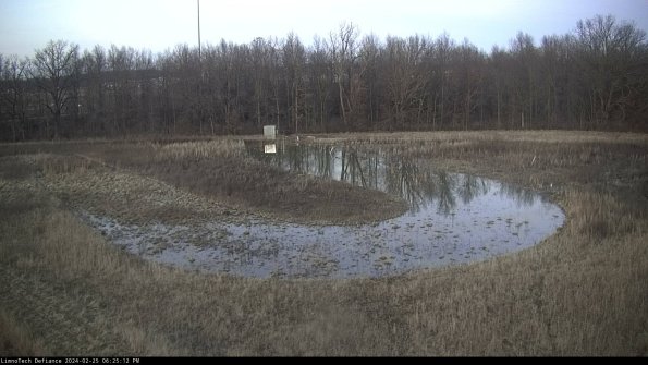 Cell 4_24-02-25_18-25-12-93