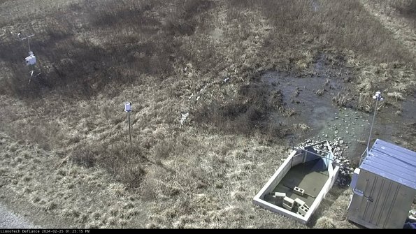 Weather & Flume_24-02-25_13-25-16-19