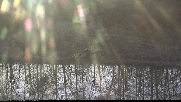 Basin Inflow_24-02-26_07-49-53-96