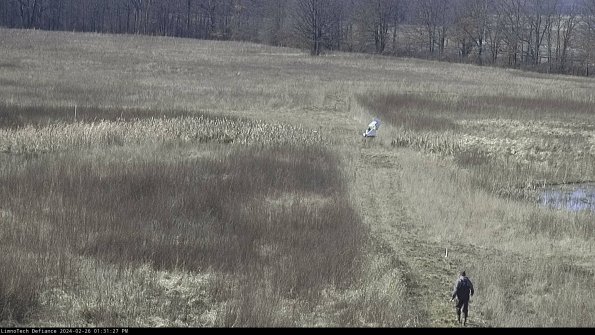 Cell 1 to 2_24-02-26_13-31-27-42