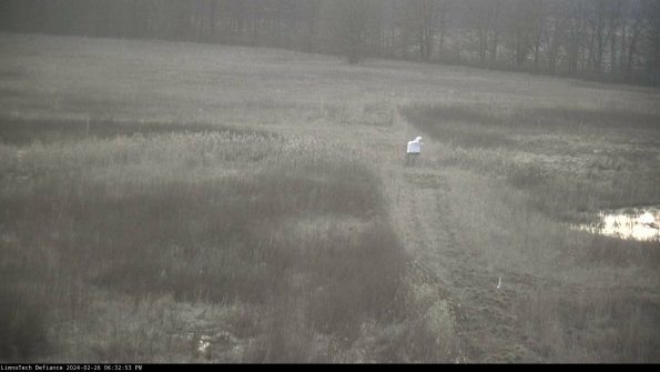 Cell 1 to 2_24-02-26_18-32-53-43