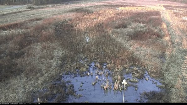 Cell 1_24-02-26_07-47-33-92