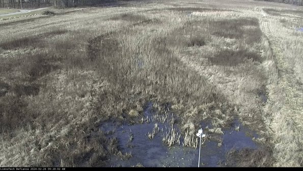 Cell 1_24-02-26_09-28-02-94