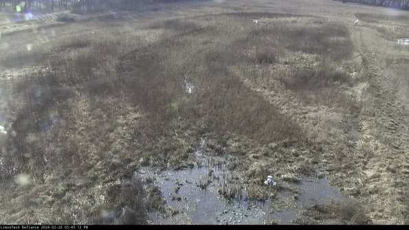 Cell 1_24-02-26_15-45-12-42