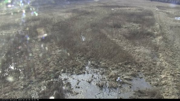 Cell 1_24-02-26_16-18-42-41