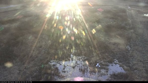 Cell 1_24-02-26_17-59-10-40