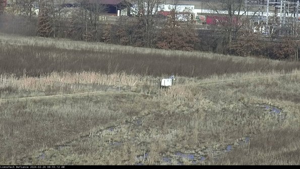 Cell 2 to 3_24-02-26_08-55-13-03