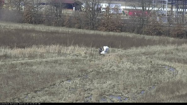 Cell 2 to 3_24-02-26_10-35-47-99