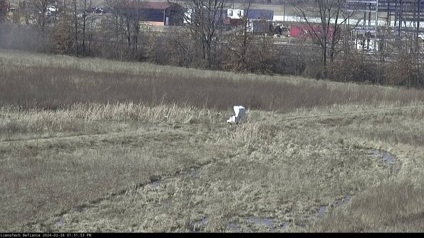 Cell 2 to 3_24-02-26_13-31-53-51