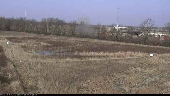 Cell 2_24-02-26_09-28-29-93