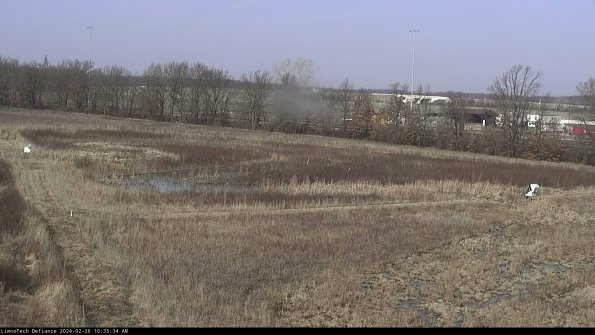 Cell 2_24-02-26_10-35-34-94