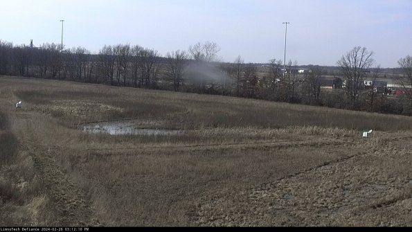 Cell 2_24-02-26_15-12-10-43