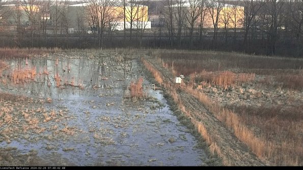 Cell 3 to 4_24-02-26_07-48-42-92