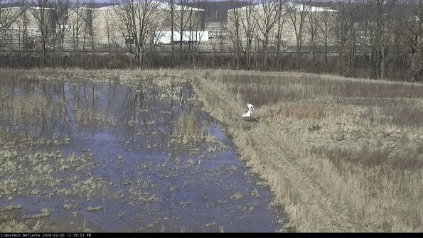 Cell 3 to 4_24-02-26_12-58-53-42