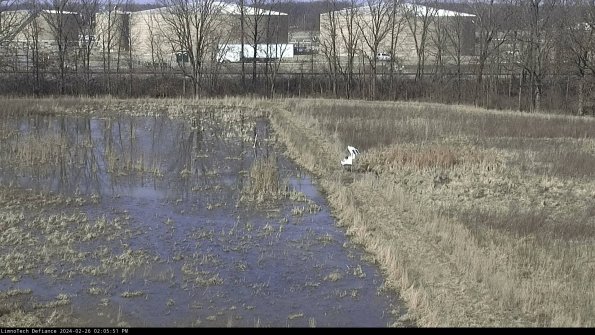 Cell 3 to 4_24-02-26_14-05-51-43