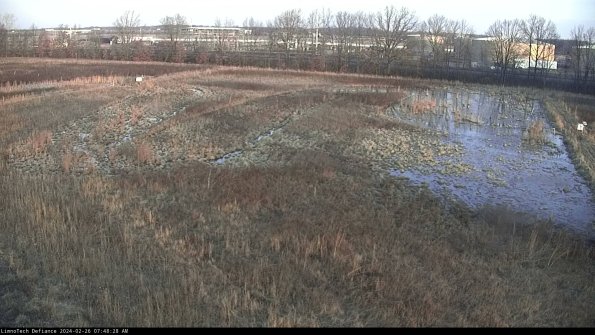 Cell 3_24-02-26_07-48-28-94