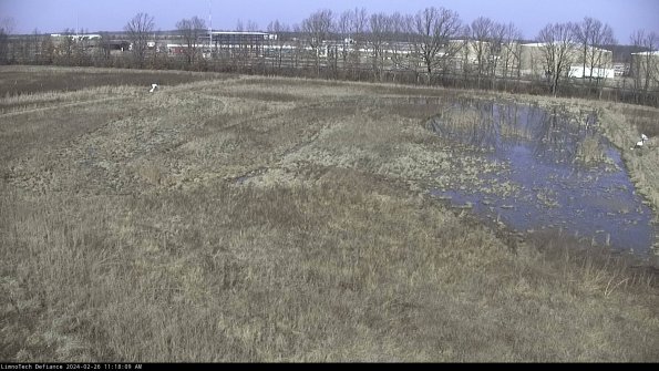 Cell 3_24-02-26_11-18-09-65