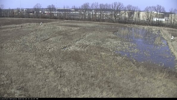 Cell 3_24-02-26_13-32-07-66