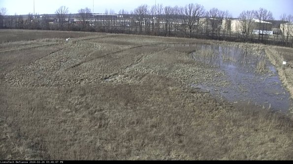 Cell 3_24-02-26_15-46-07-41