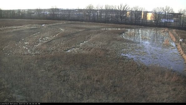 Cell 3_24-02-26_18-00-04-63