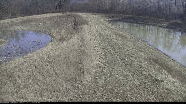 Cell 4 to Basin_24-02-26_11-10-29-95