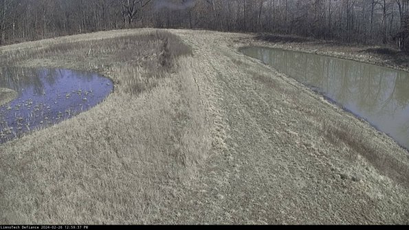 Cell 4 to Basin_24-02-26_12-59-37-43