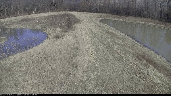 Cell 4 to Basin_24-02-26_14-06-35-44