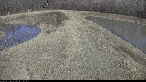 Cell 4 to Basin_24-02-26_15-13-36-42