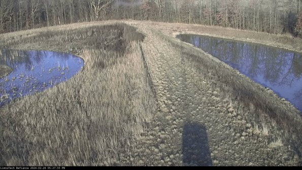 Cell 4 to Basin_24-02-26_17-27-33-43