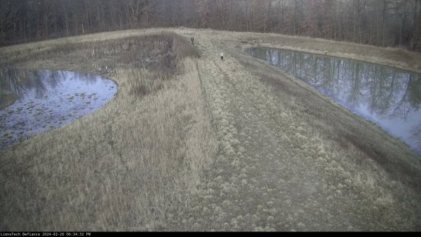 Cell 4 to Basin_24-02-26_18-34-32-43