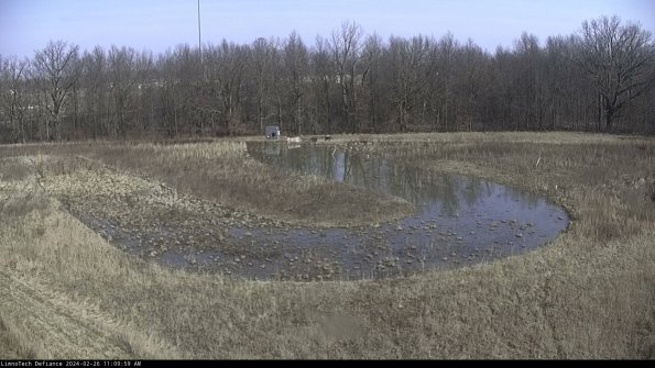 Cell 4_24-02-26_11-09-59-95