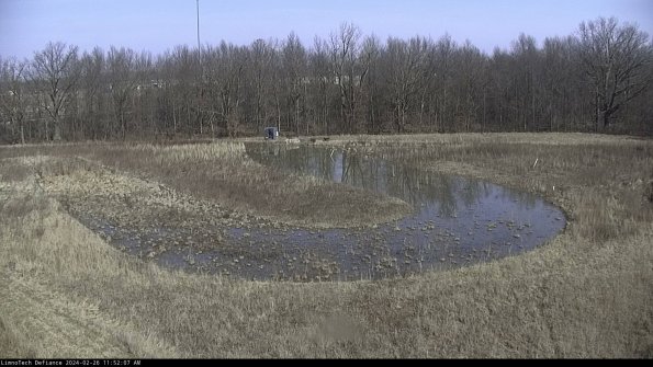 Cell 4_24-02-26_11-52-07-43