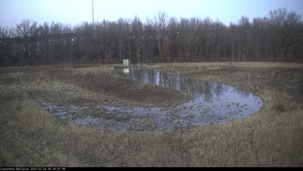 Cell 4_24-02-26_18-34-02-44