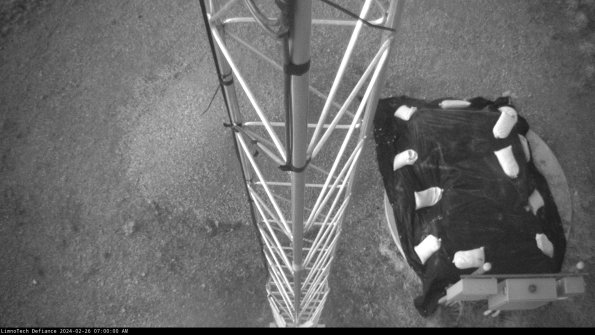 Hatch_24-02-26_07-00-00-90