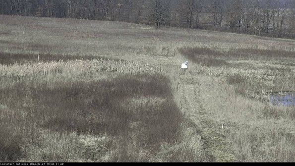 Cell 1 to 2_24-02-27_10-44-21-39