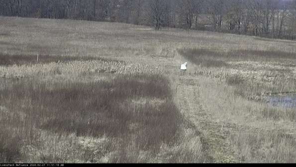 Cell 1 to 2_24-02-27_11-51-19-43