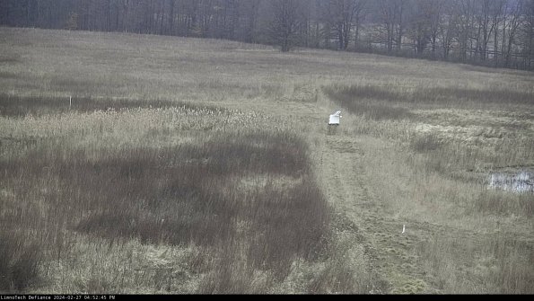 Cell 1 to 2_24-02-27_16-52-45-41