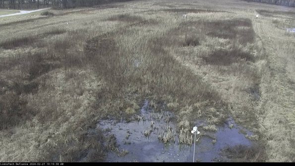 Cell 1_24-02-27_10-10-38-42