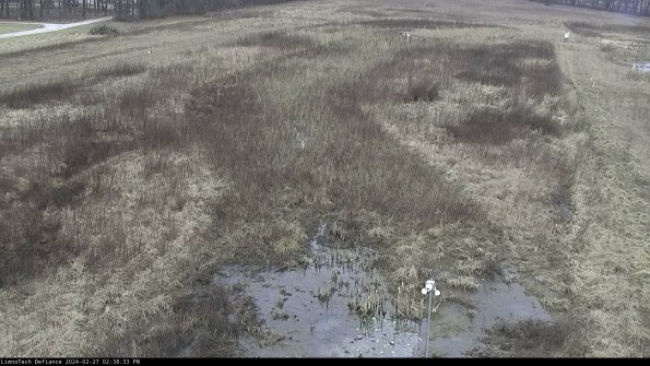 Cell 1_24-02-27_14-38-33-42