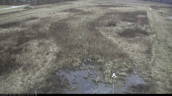 Cell 1_24-02-27_16-19-01-41