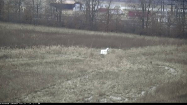 Cell 2 to 3_24-02-27_17-26-41-55