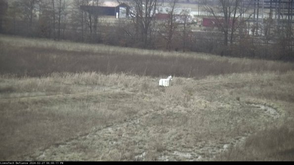 Cell 2 to 3_24-02-27_18-00-11-61