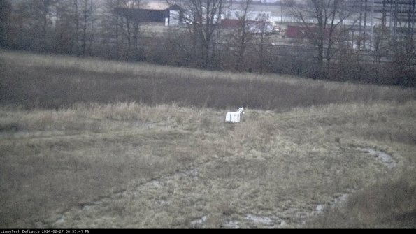 Cell 2 to 3_24-02-27_18-33-41-53