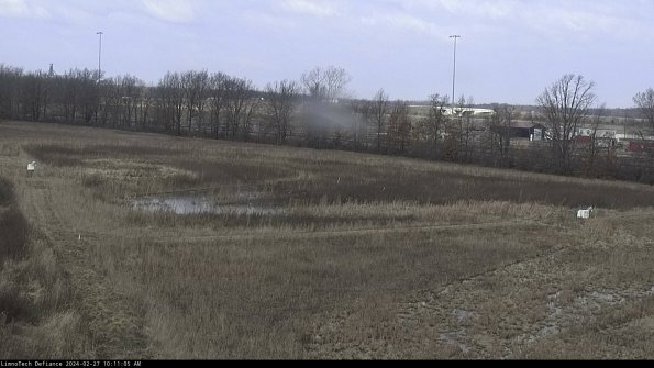 Cell 2_24-02-27_10-11-05-42