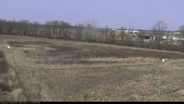 Cell 2_24-02-27_11-18-04-42