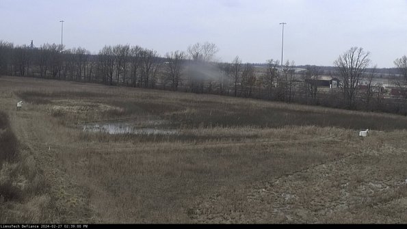 Cell 2_24-02-27_14-39-00-48